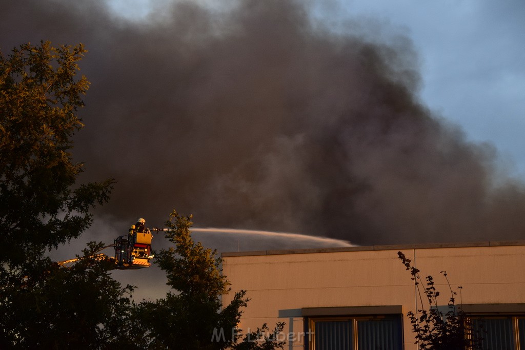 Grossbrand Halle Troisdorf Kriegsdorf Junkersring P243.JPG - Miklos Laubert